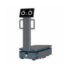 Robô de entrega industrial Alpha Panda AMR F300
