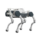 Deep Robotics X30 Pro industriële viervoetige robothond