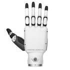Mão robótica destra Inspire RH56BFX