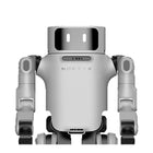 Robô humanóide universal Noetix Dora