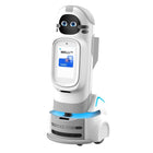 UBTECH intelligenter Begleitroboter Welli