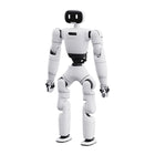 AGIBOT (modelo descatalogado)