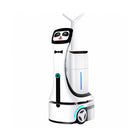 Alpha Panda Disinfection Robot