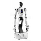 Galbot G1 Tekerlekli İnsansı Robot