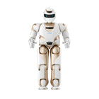 UBTECH Walker X